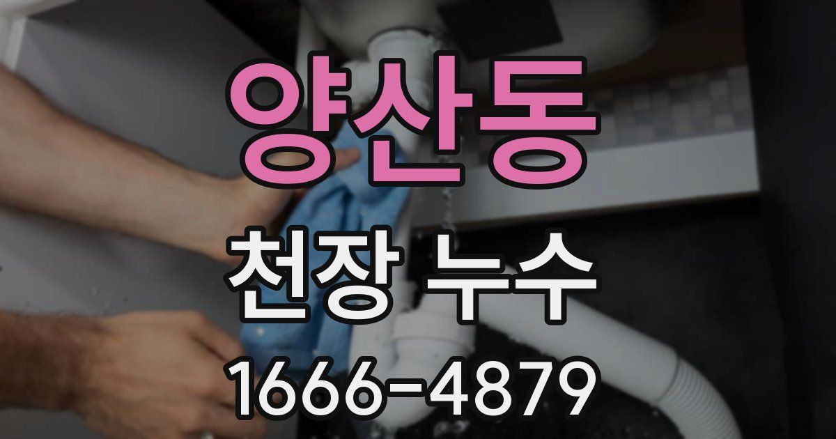 양산동 천장 누수