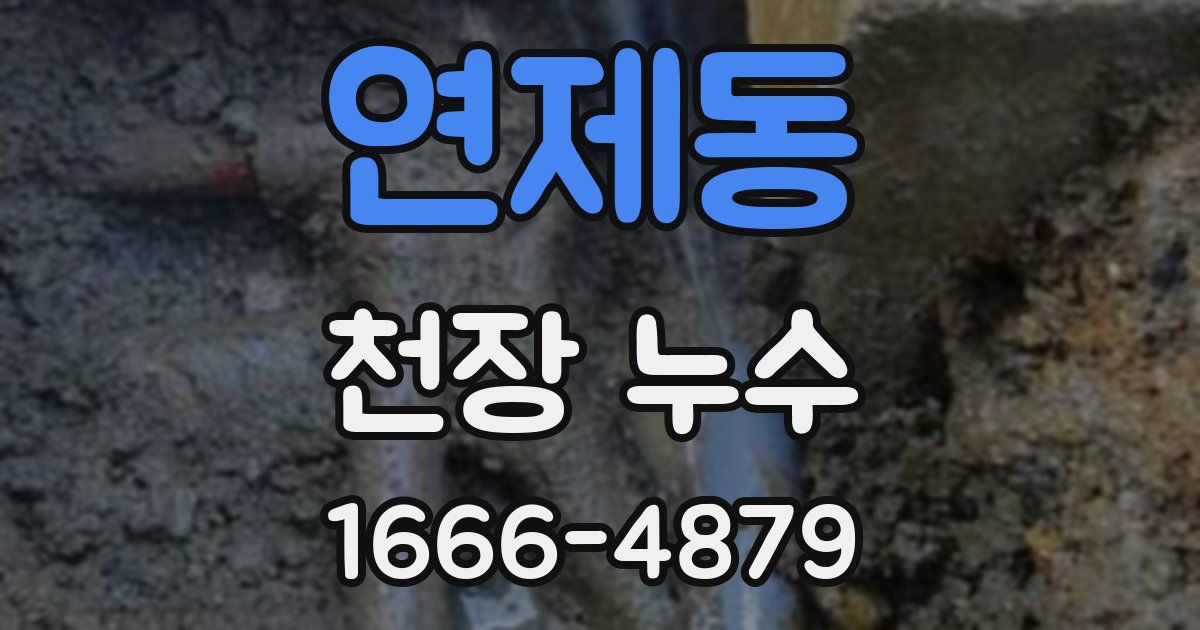 연제동 천장 누수