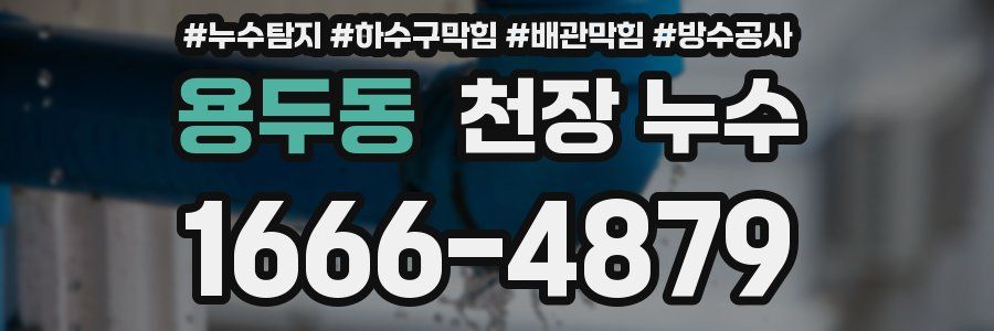 용두동 천장 누수