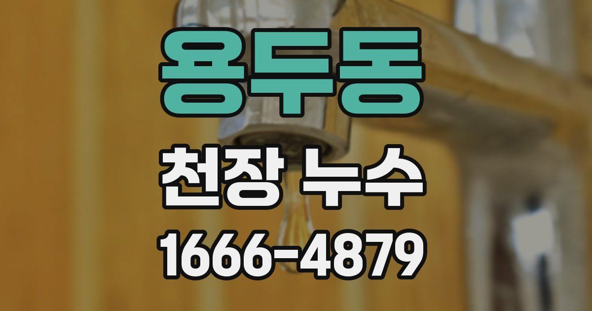 용두동 천장 누수