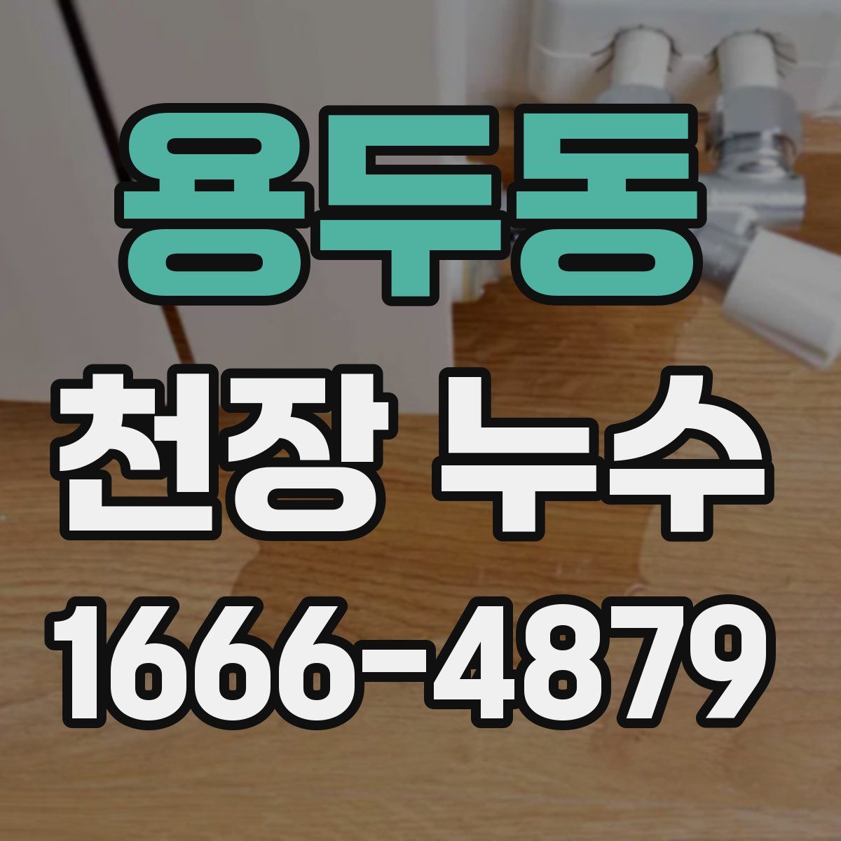 용두동 천장 누수