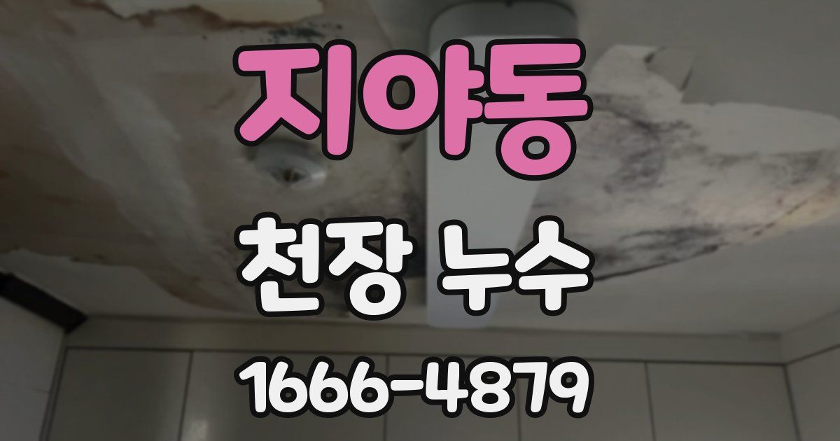 지야동 천장 누수