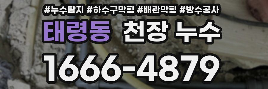 태령동 천장 누수