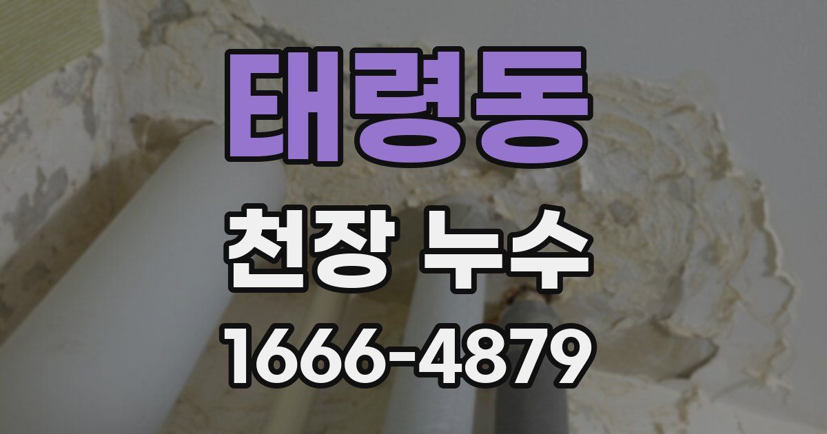 태령동 천장 누수