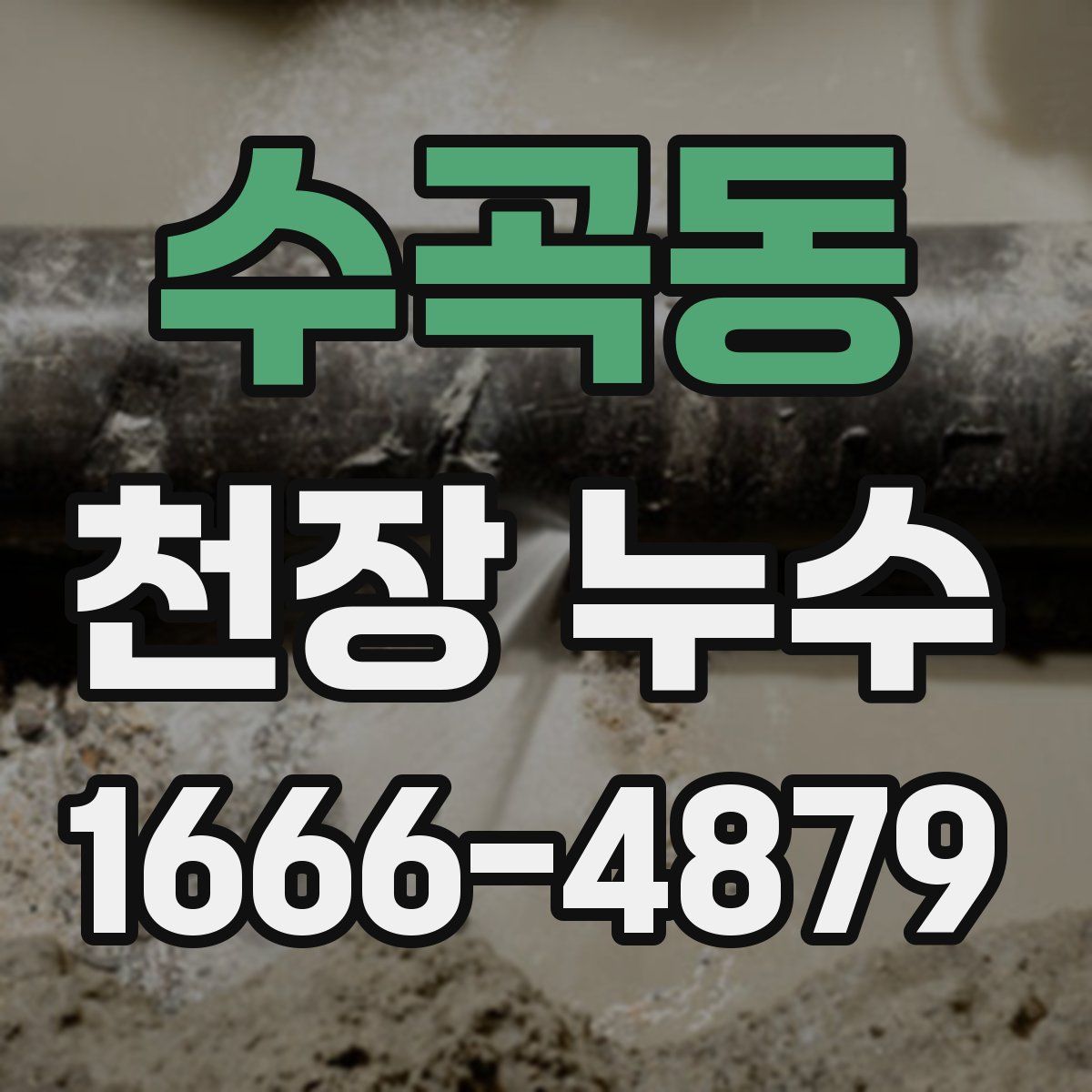 수곡동 천장 누수