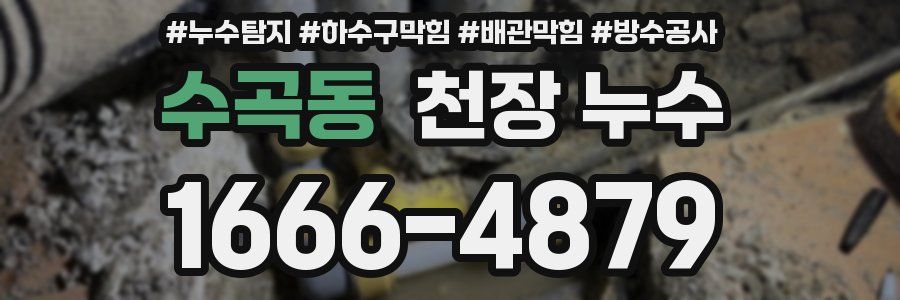 수곡동 천장 누수