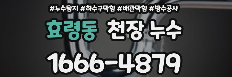 효령동 천장 누수