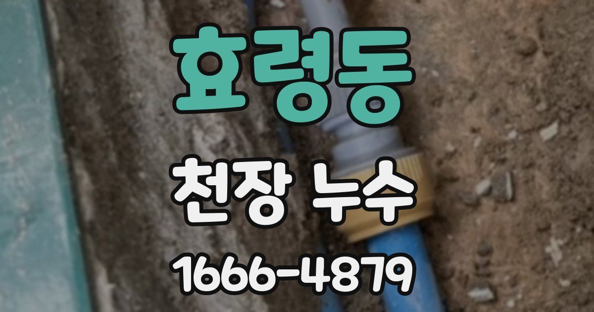 효령동 천장 누수