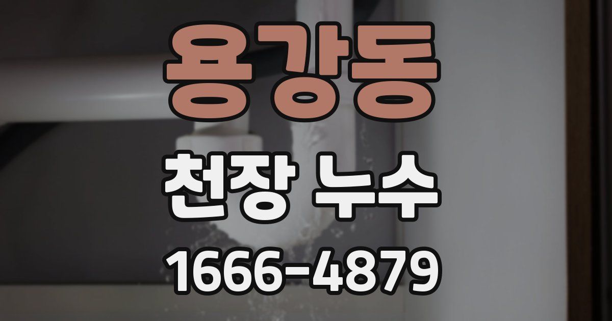 용강동 천장 누수