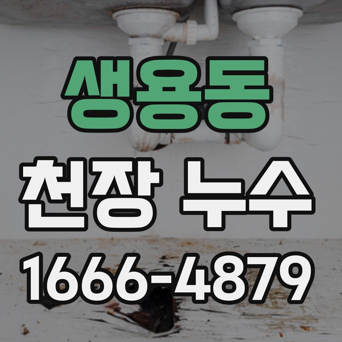 생용동 천장 누수