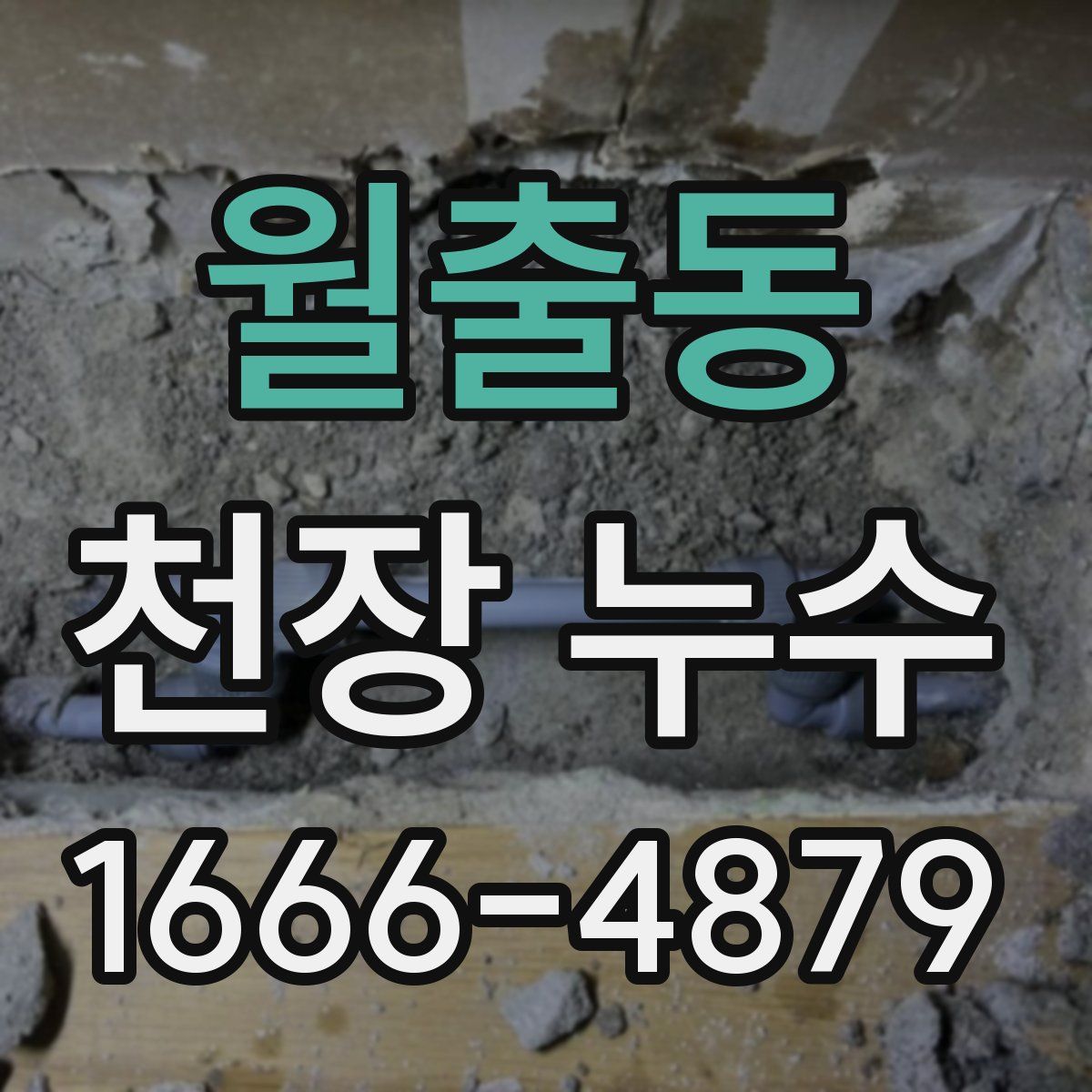 월출동 천장 누수