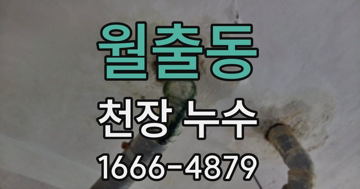 월출동 천장 누수