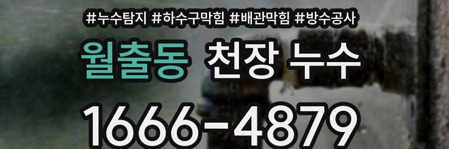 월출동 천장 누수