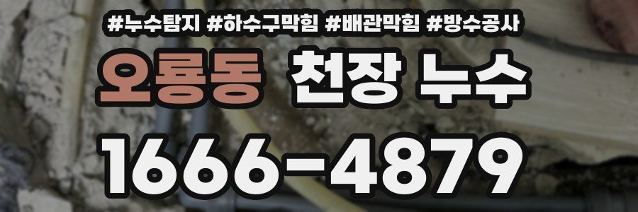 오룡동 천장 누수
