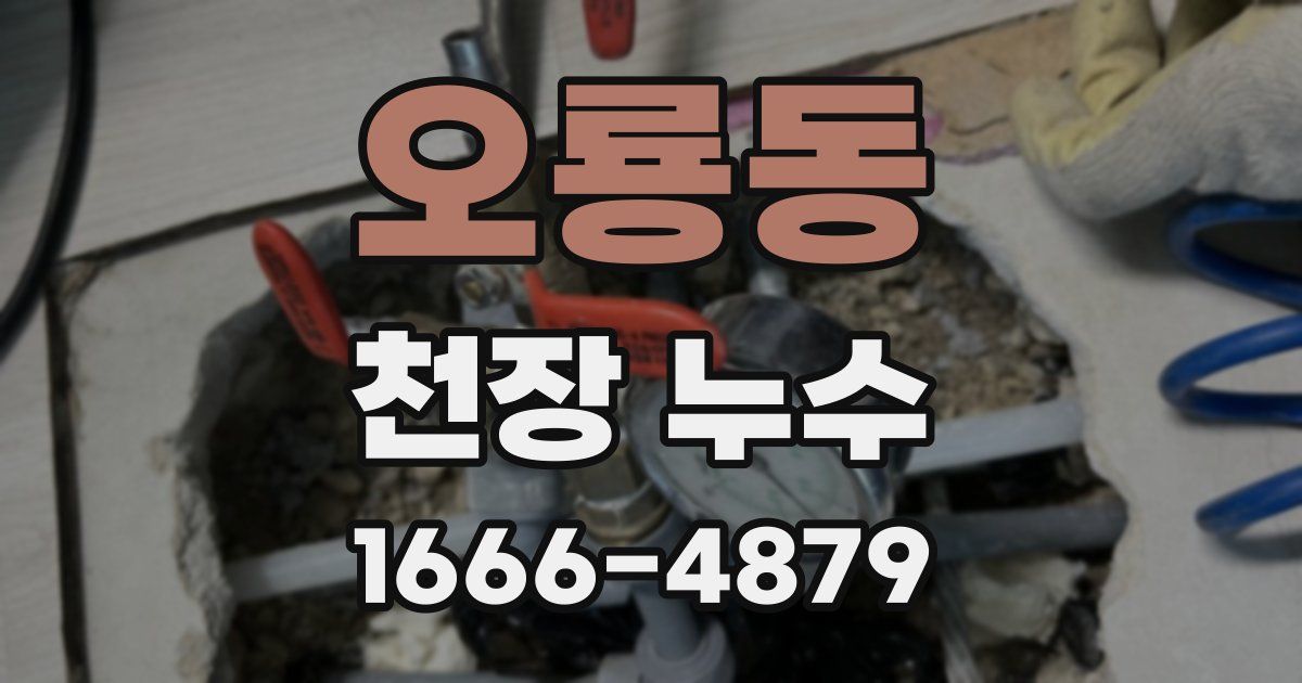 오룡동 천장 누수