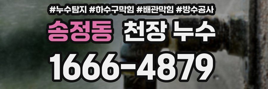 송정동 천장 누수