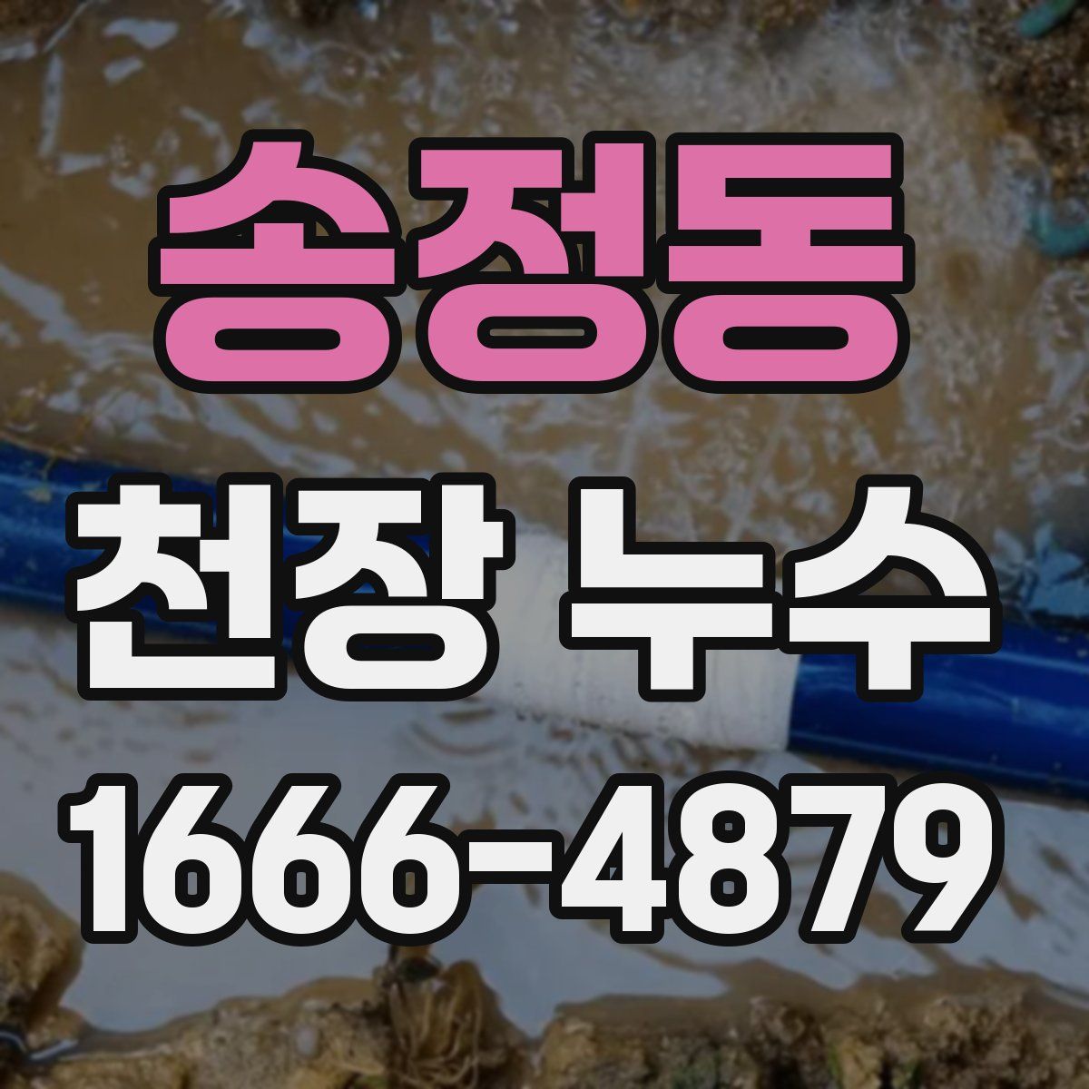 송정동 천장 누수
