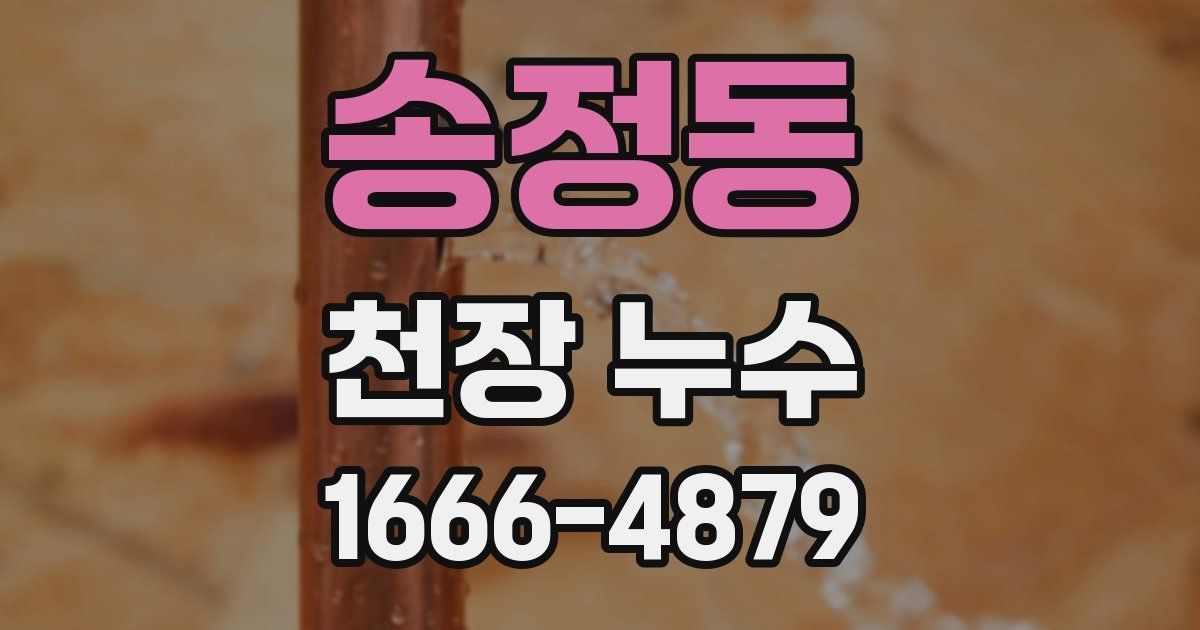 송정동 천장 누수