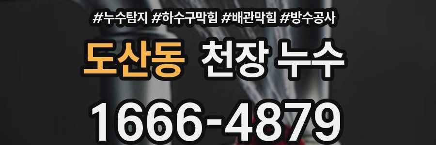 도산동 천장 누수