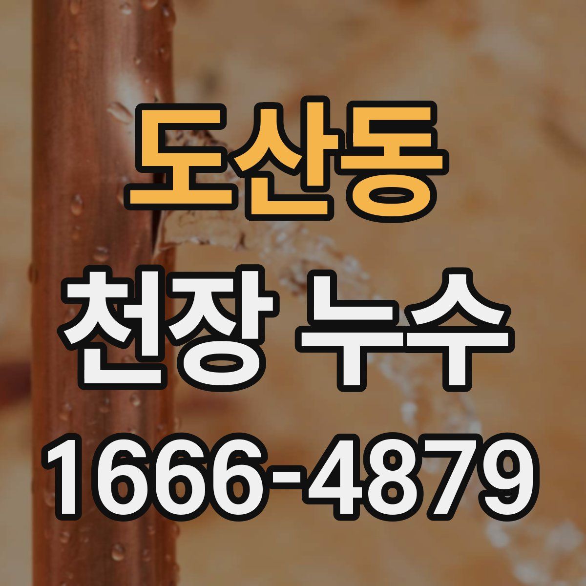 도산동 천장 누수