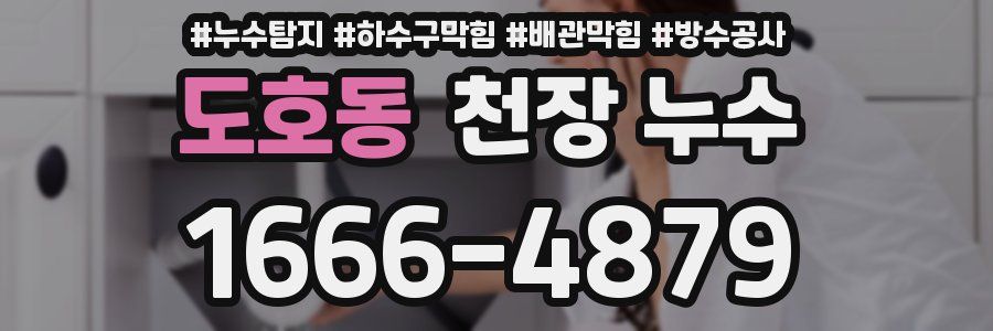 도호동 천장 누수
