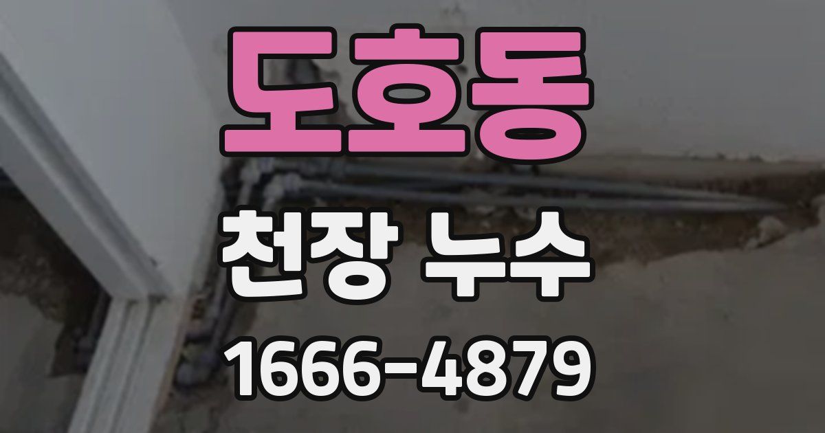도호동 천장 누수