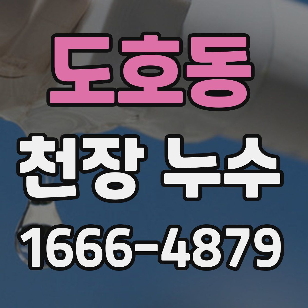 도호동 천장 누수