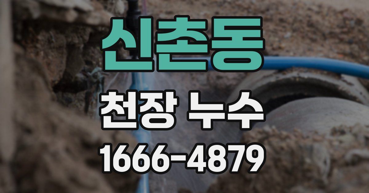 신촌동 천장 누수