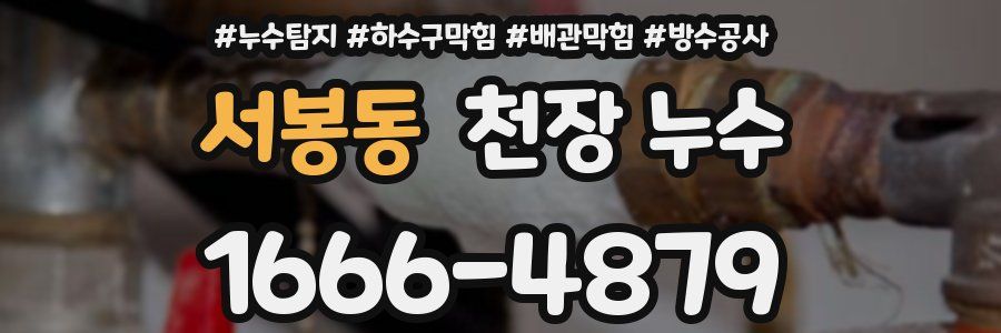 서봉동 천장 누수