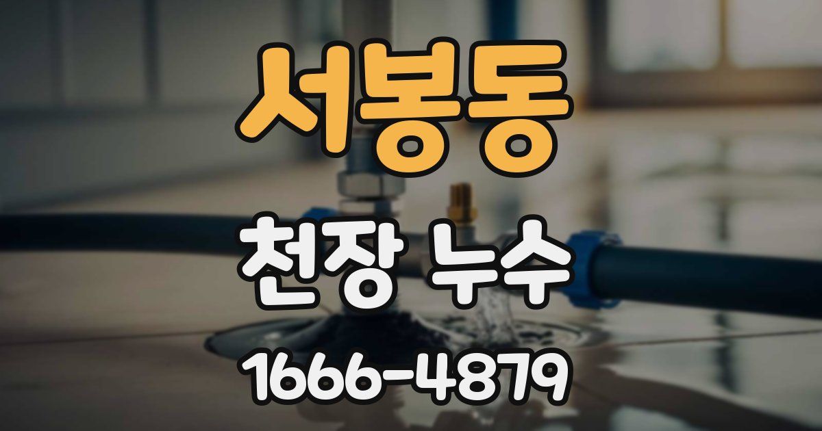서봉동 천장 누수