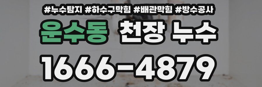운수동 천장 누수