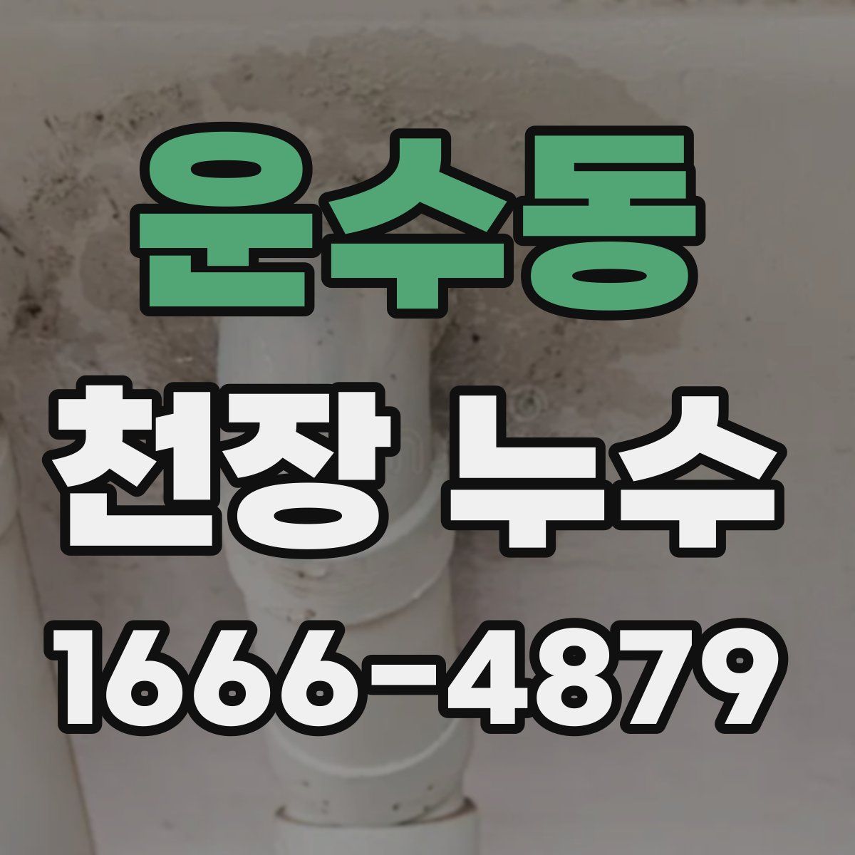 운수동 천장 누수