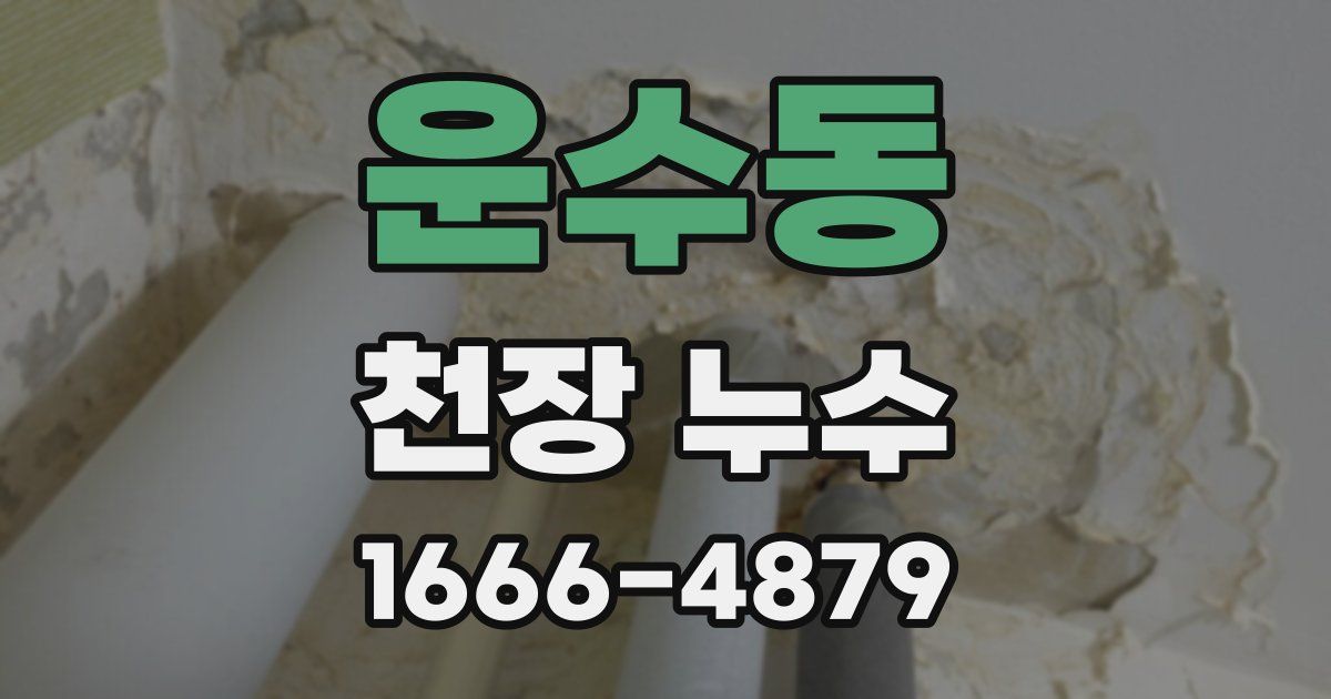 운수동 천장 누수