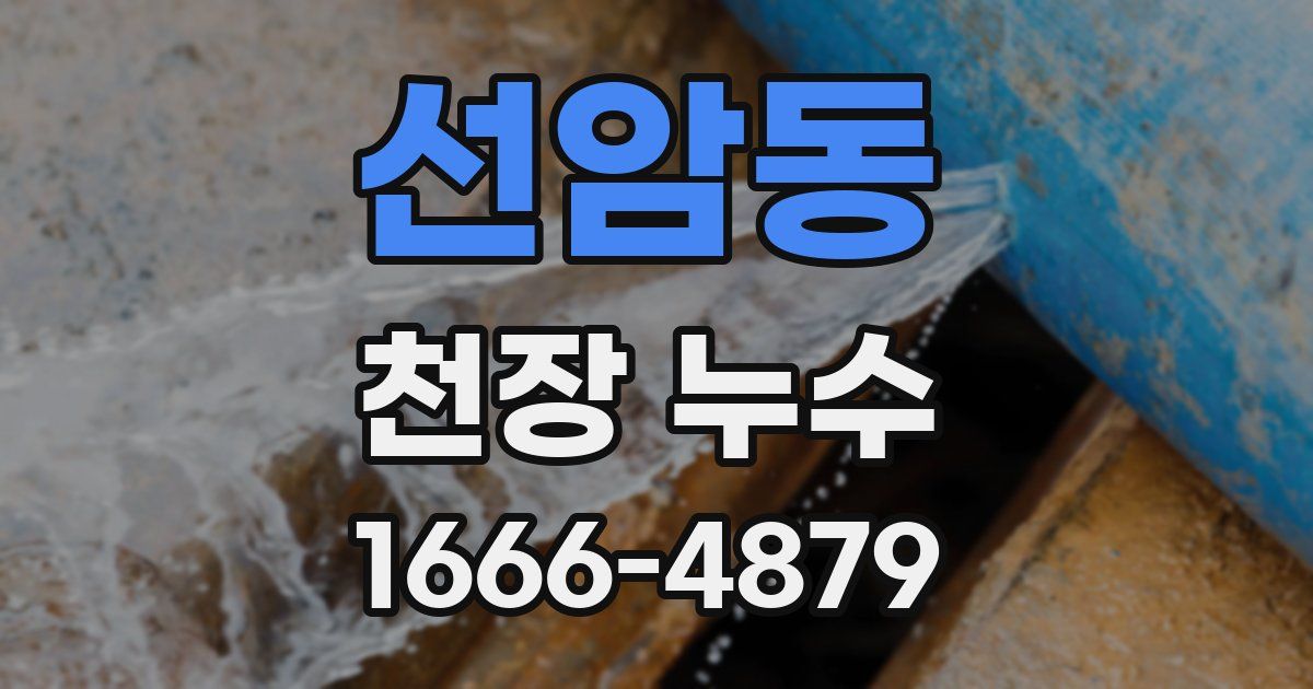 선암동 천장 누수