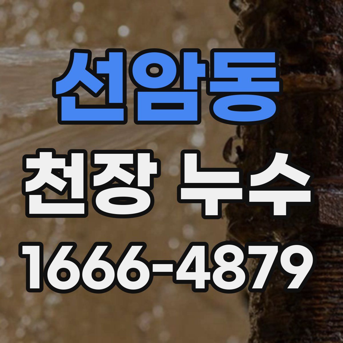 선암동 천장 누수
