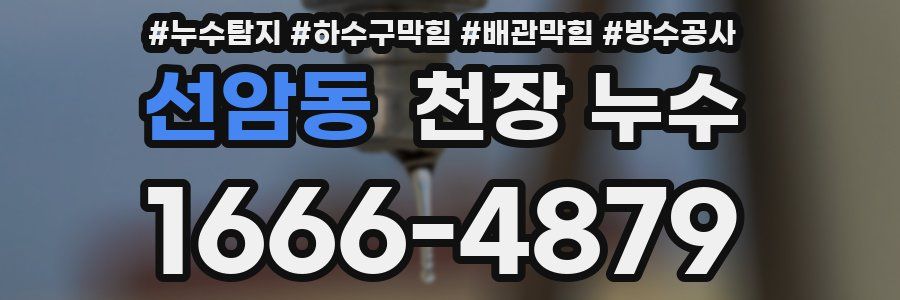 선암동 천장 누수
