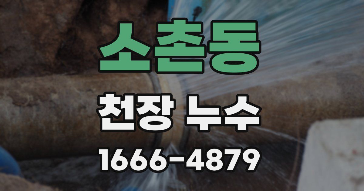 소촌동 천장 누수