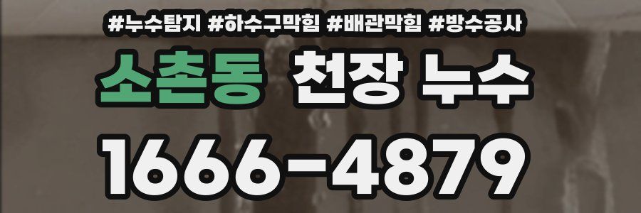 소촌동 천장 누수