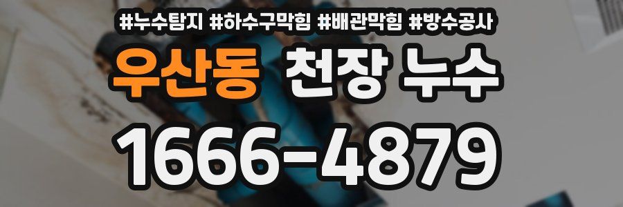 우산동 천장 누수
