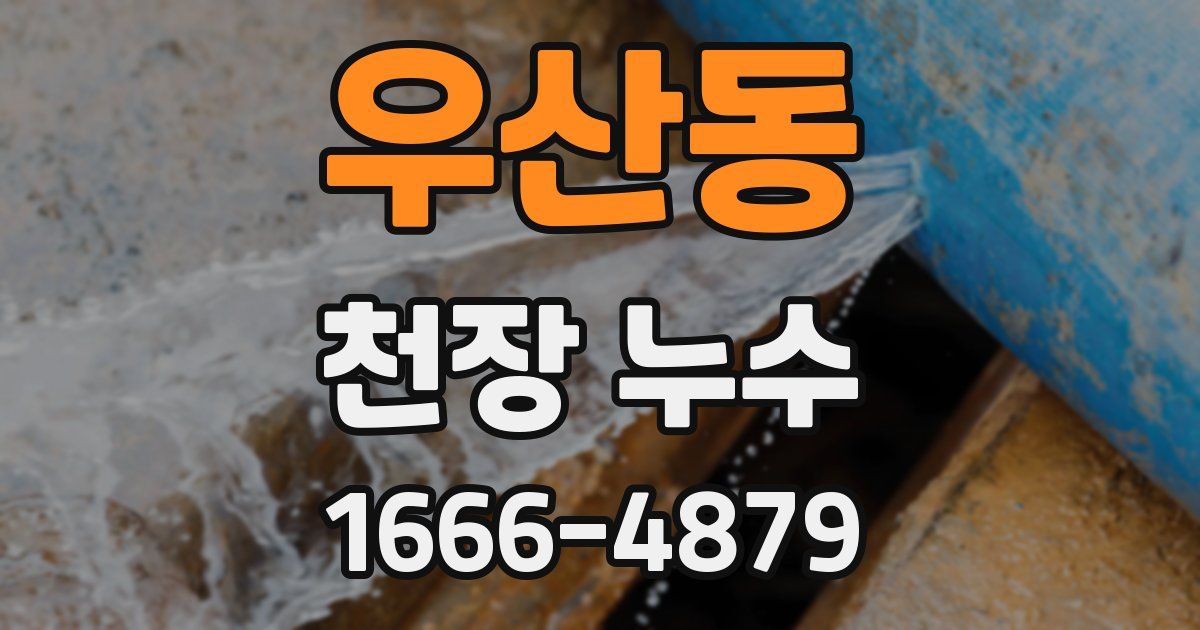 우산동 천장 누수