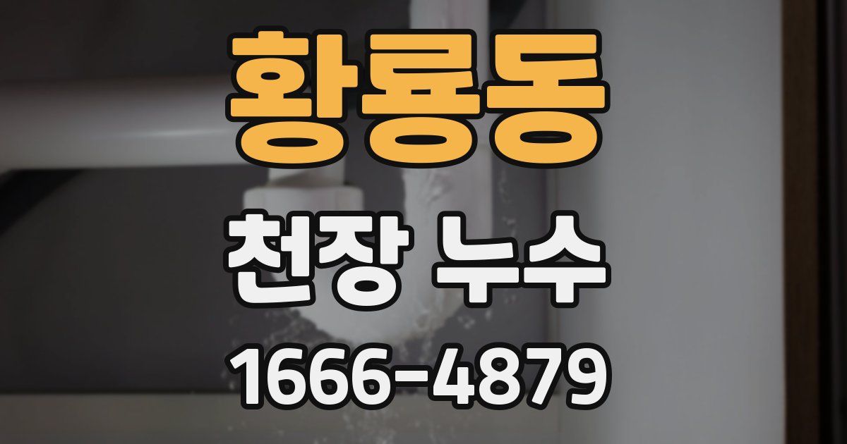 황룡동 천장 누수