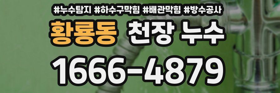 황룡동 천장 누수