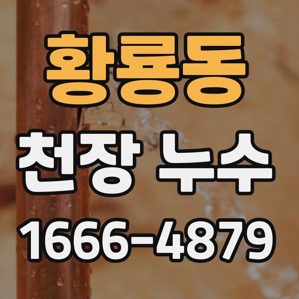 황룡동 천장 누수