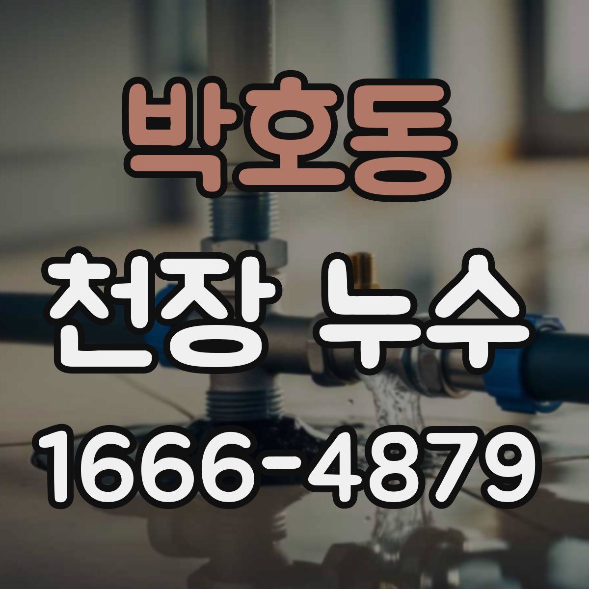 박호동 천장 누수
