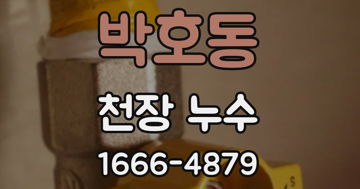 박호동 천장 누수