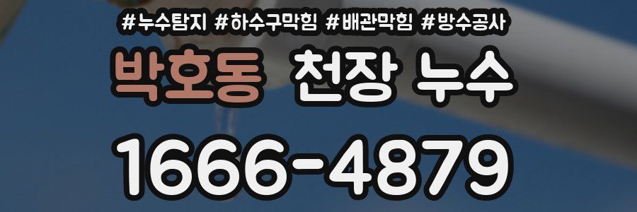박호동 천장 누수