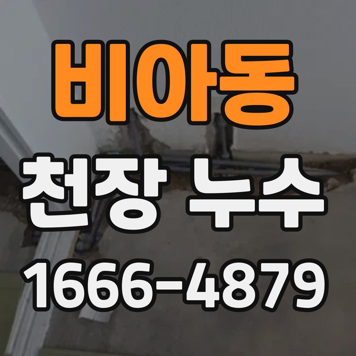 비아동 천장 누수