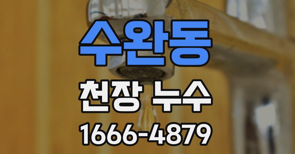 수완동 천장 누수