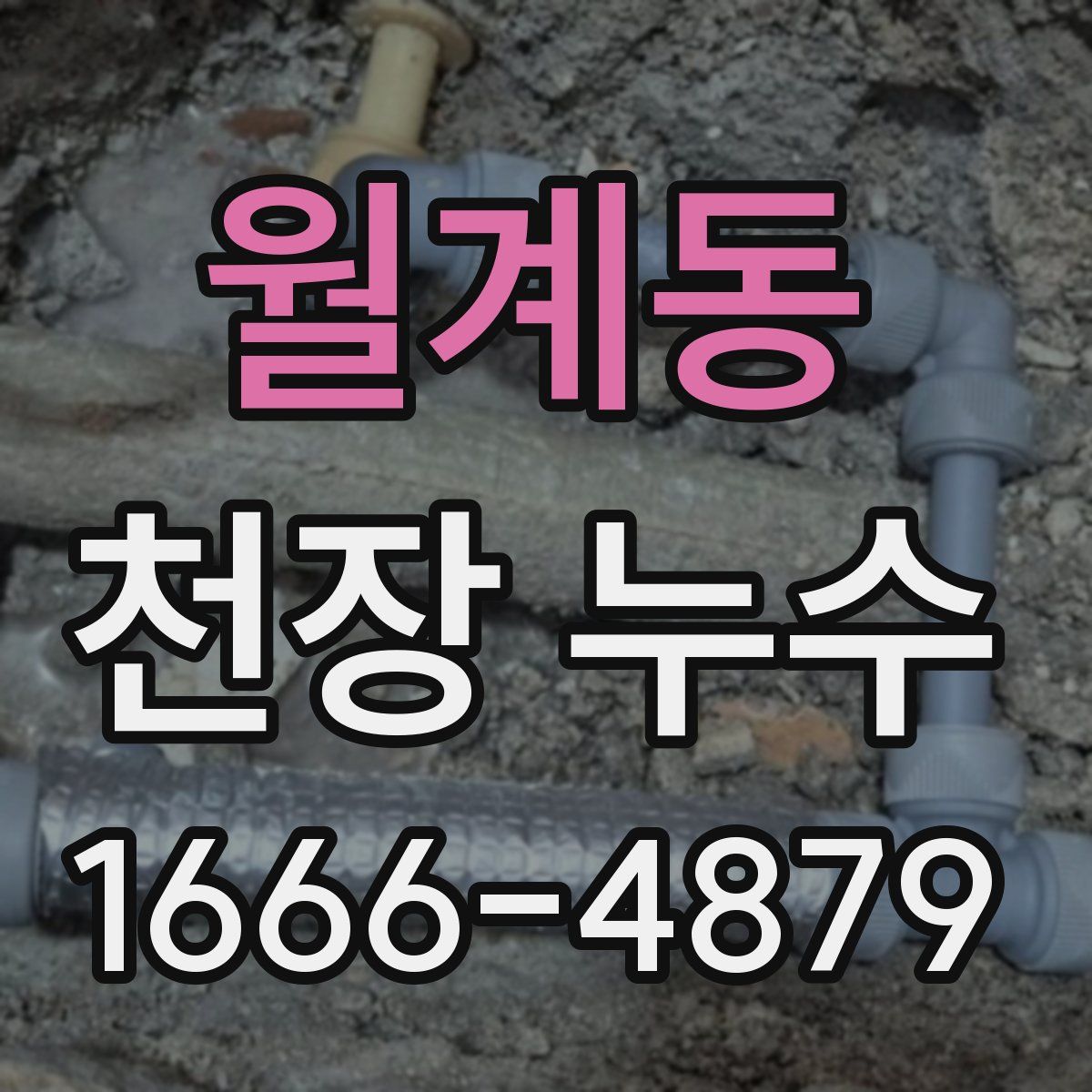 월계동 천장 누수