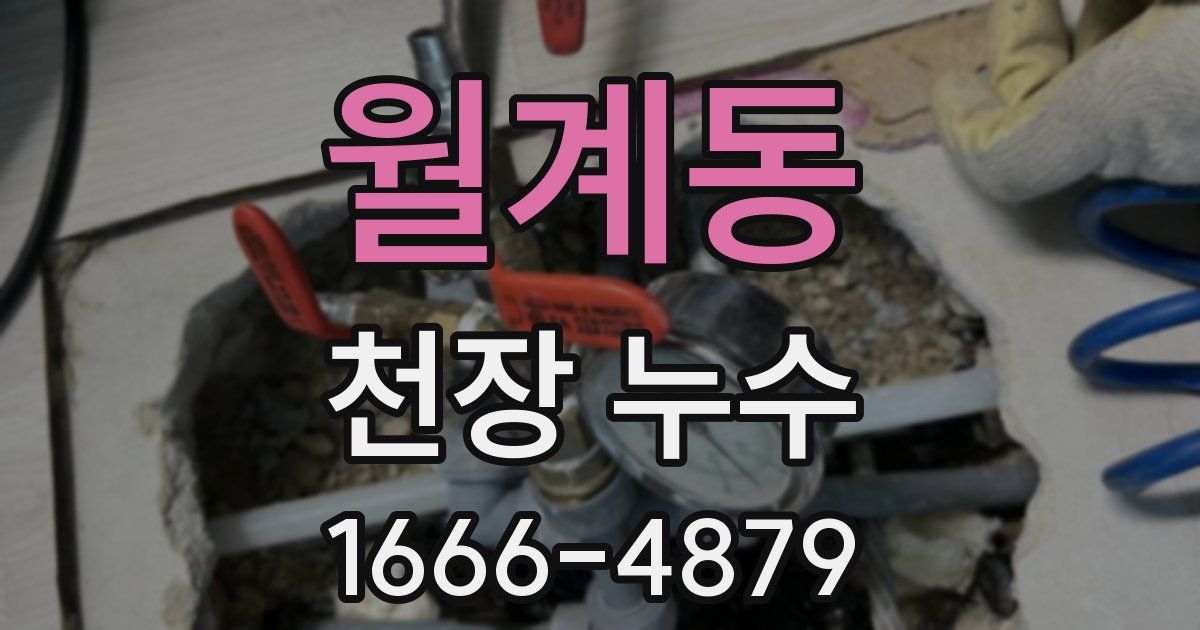 월계동 천장 누수
